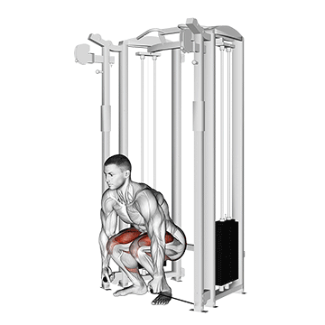 How to do Cable Deadlift — animated demonstration