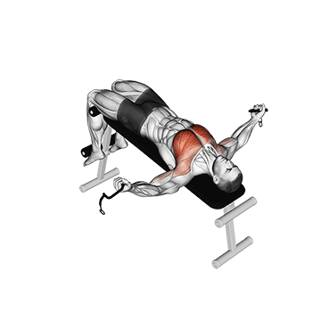 How to do Cable Decline Fly — animated demonstration