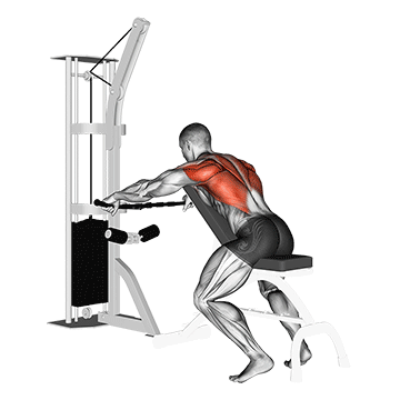 How to do Cable Decline Seated Wide-Grip Row — animated demonstration