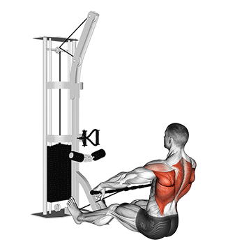 How to do Cable Floor Seated Wide-Grip Row — animated demonstration