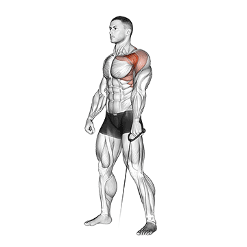 How to do Cable Forward Raise — animated demonstration