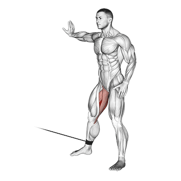 How to do Cable Hip Adduction — animated demonstration