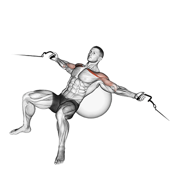 How to do Stability Ball Incline Cable Fly — animated demonstration