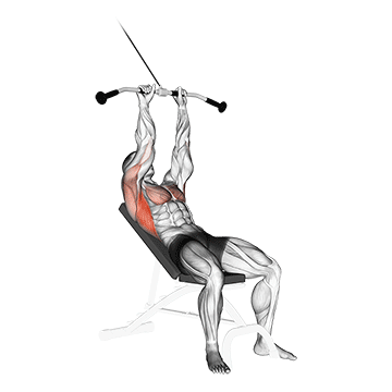How to do Cable Incline Pushdown — animated demonstration