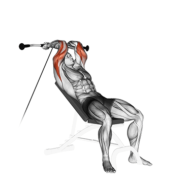 How to do Cable Incline Triceps Extension — animated demonstration