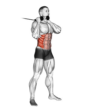 How to do Cable Judo Flip — animated demonstration