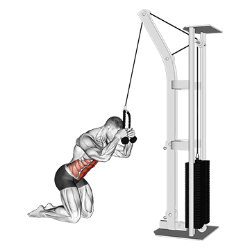 How to do Cable Kneeling Crunch — animated demonstration