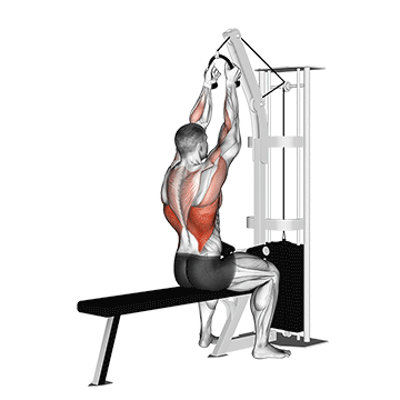 How to do Cable Lat Pulldown (Rope) — animated demonstration
