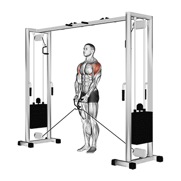 How to do Cable Lateral Raise — animated demonstration