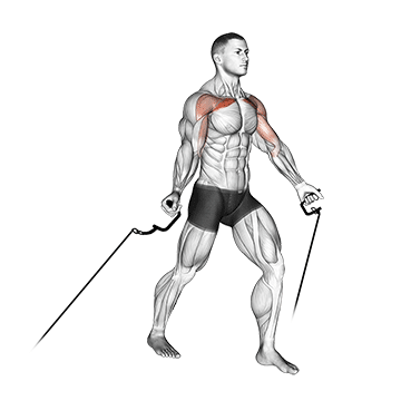 How to do Cable Low Fly — animated demonstration