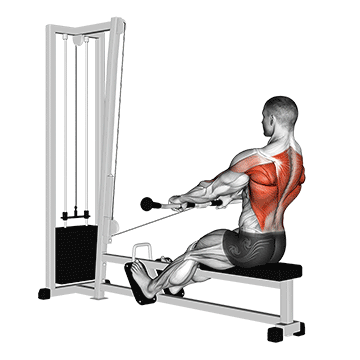 How to do Cable Low Seated Row — animated demonstration