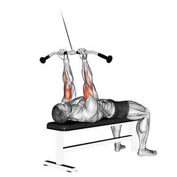 How to do Cable Lying Close-Grip Curl — animated demonstration