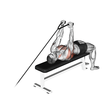 How to do Lying Cable Pullover (Rope) — animated demonstration