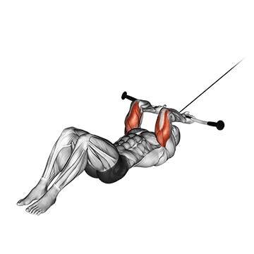 How to do Cable Lying Triceps Extension — animated demonstration