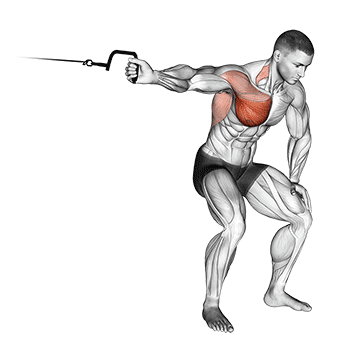 How to do Single-Arm Bent-Over Cable Fly — animated demonstration