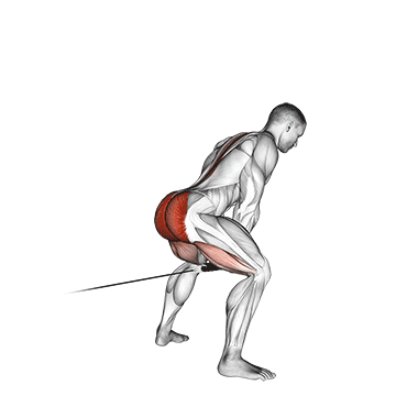 How to do Cable Pull-Through (Rope) — animated demonstration