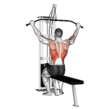 How to do Cable Pulldown — animated demonstration