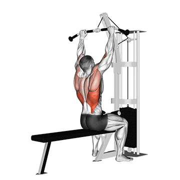 How to do Cable Lat Pulldown — animated demonstration