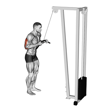 How to do Cable Pushdown — animated demonstration