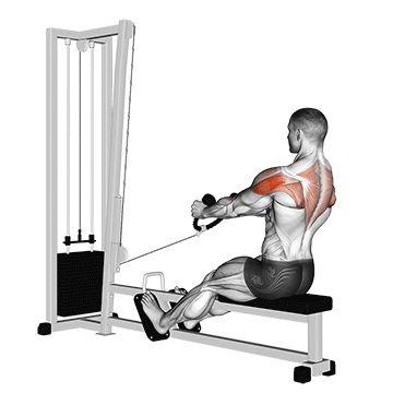 How to do Cable Rear Delt Row (Stirrups) — animated demonstration