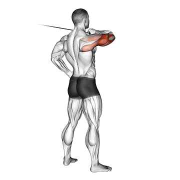 How to do Cable Rear Drive — animated demonstration