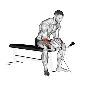 How to do Cable Reverse Wrist Curl — animated demonstration
