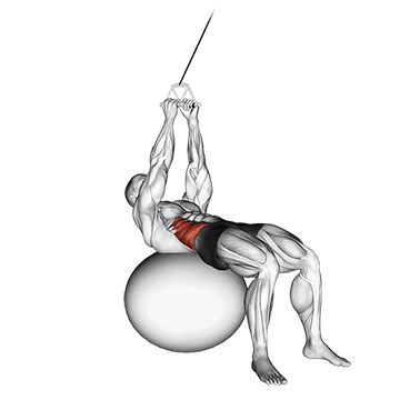How to do Stability Ball Cable Russian Twist — animated demonstration
