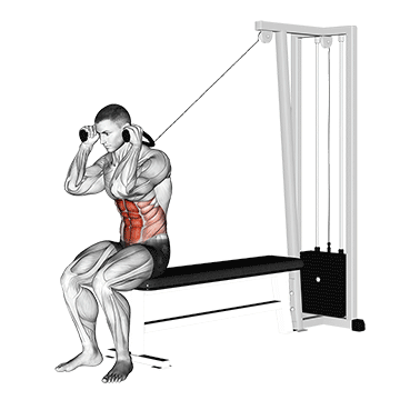 How to do Cable Seated Crunch — animated demonstration