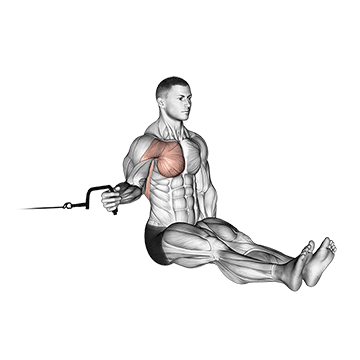 How to do Cable Seated Shoulder Internal Rotation — animated demonstration
