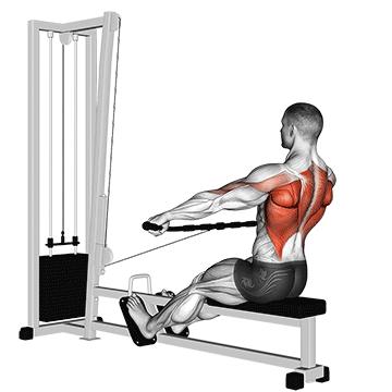 How to do Cable Seated Wide-Grip Row — animated demonstration
