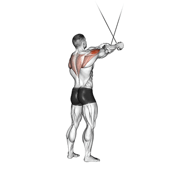 How to do Standing High Cable Crossover Reverse Fly — animated demonstration