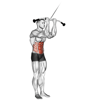 How to do Cable Standing Crunch — animated demonstration