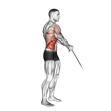 How to do Cable Standing Lift — animated demonstration