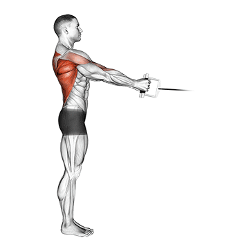 How to do Cable Standing Row (V-Bar) — animated demonstration