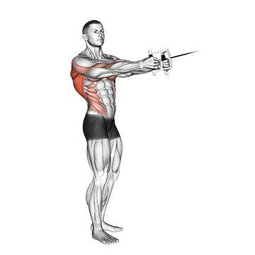 How to do Cable Standing Twist Row (V-Bar) — animated demonstration
