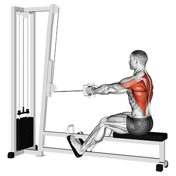 How to do Cable Straight Back Seated Row — animated demonstration