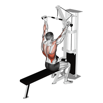 How to do Underhand Cable Lat Pulldown — animated demonstration