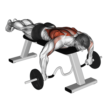 How to do Barbell Cambered Bar Lying Row — animated demonstration