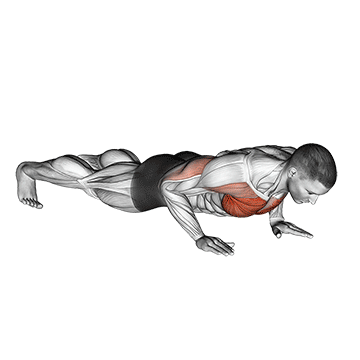 How to do Clock Push-Up — animated demonstration