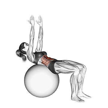 How to do Straight-Arm Stability Ball Crunch — animated demonstration