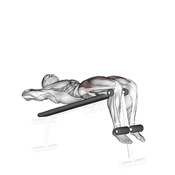 How to do Decline Sit-Up — animated demonstration