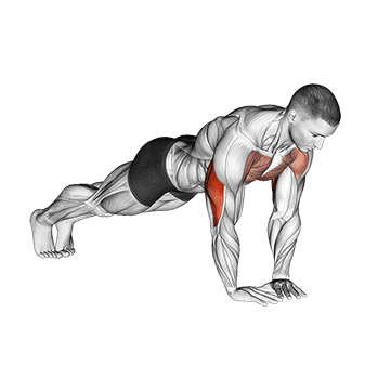 How to do Diamond Push-Up — animated demonstration