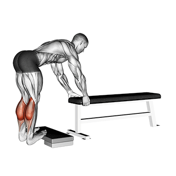 How to do Donkey Calf Raise — animated demonstration