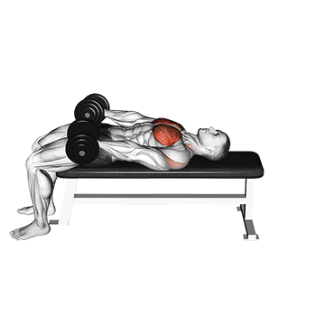 How to do Dumbbell Around Pullover — animated demonstration