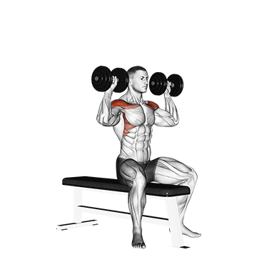 How to do Dumbbell Bench Seated Press — animated demonstration