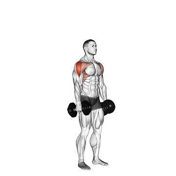 How to do Dumbbell Cuban Press — animated demonstration