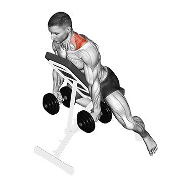 How to do Dumbbell Decline Shrug — animated demonstration