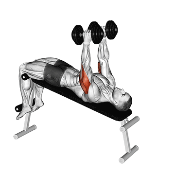 How to do Dumbbell Decline Triceps Extension — animated demonstration