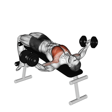 How to do Dumbbell Decline Twist Fly — animated demonstration