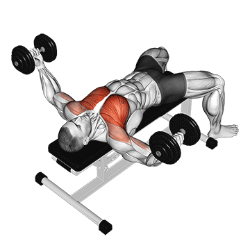 How to do Dumbbell Fly — animated demonstration